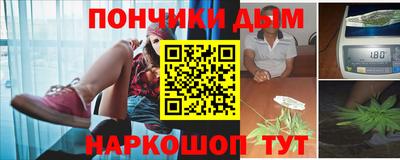 спайс Гагарин
