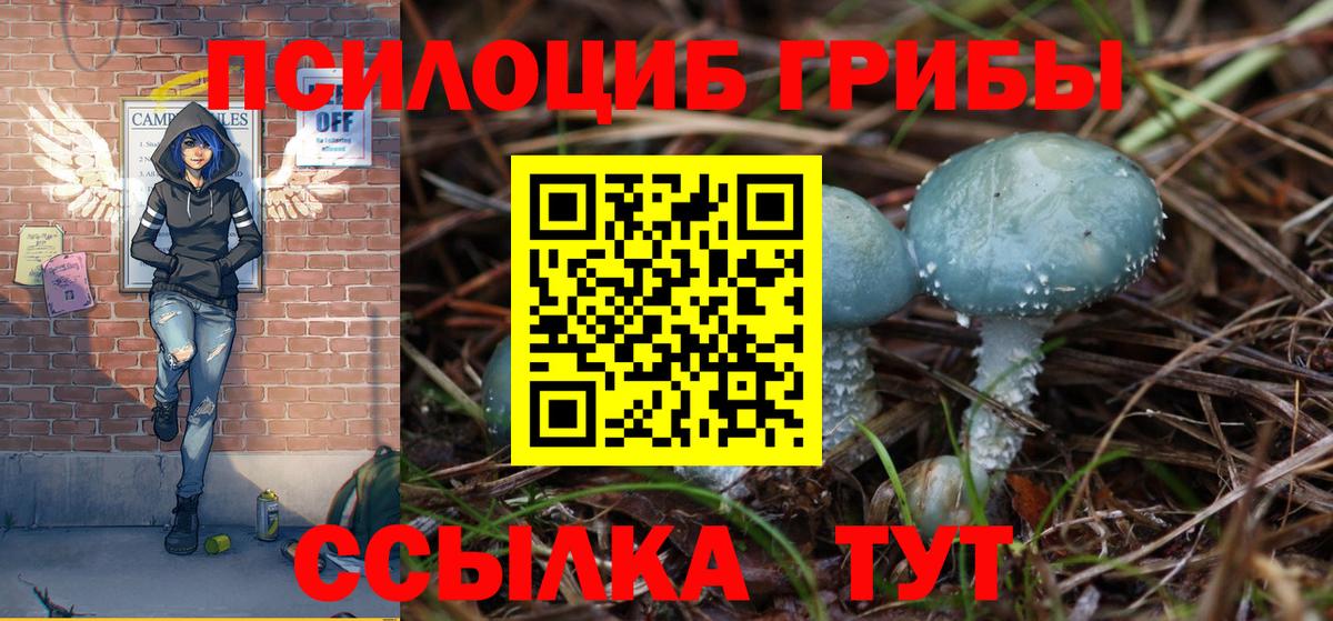 Псилоцибиновые грибы ЛСД  где купить наркоту  Муром  Галлюциногенные грибы Psilocybine cubensis  Вход с VPN 